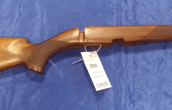 Steyr Schaft .243